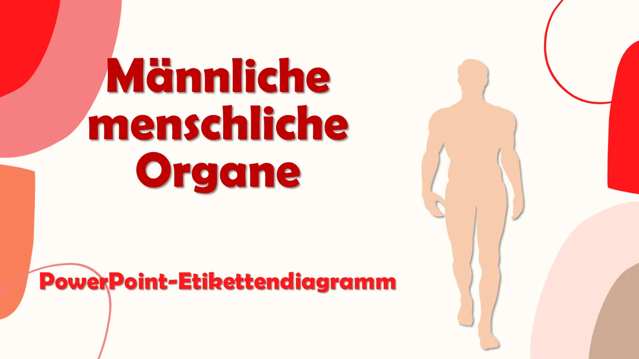 Männliche menschliche Organe PowerPoint-Etikettendiagramm PowerPoint-Vorlage für professionelle Präsentationen